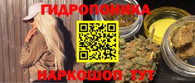 стаф Донской