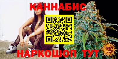 стаф Донской