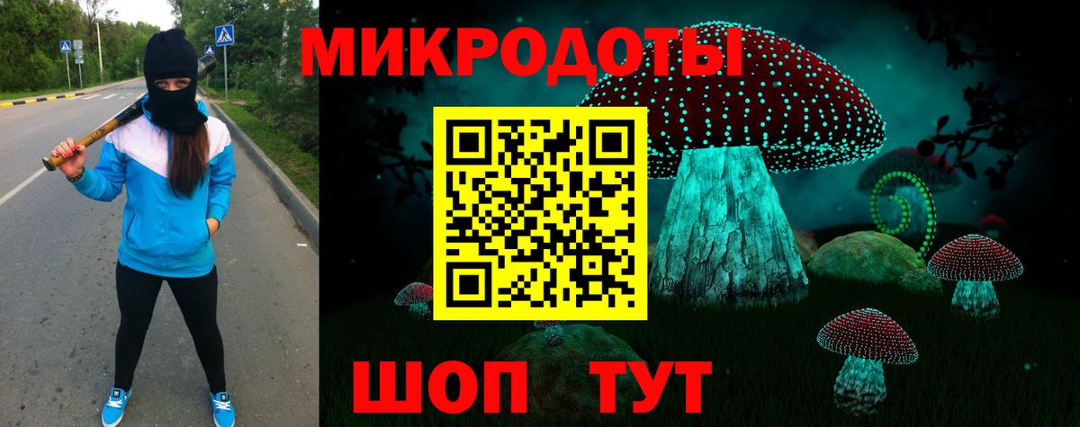Галлюциногенные грибы прущие грибы Дивногорск